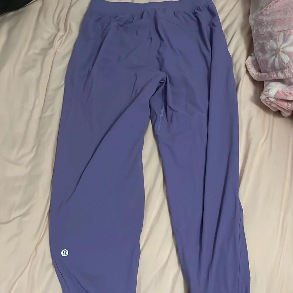 🏃‍♂️🏃‍♂️💨💨Lululemon Adapted State HR Jogger violet purple size 6